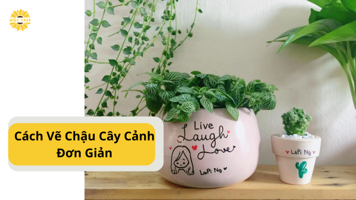 Cách Vẽ Chậu Cây Cảnh Đơn Giản