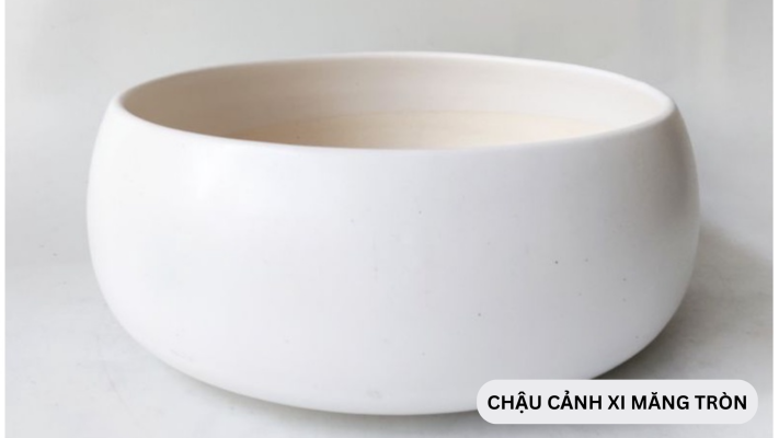 Vì sao khuôn chậu cảnh xi măng tròn lại được yêu thích?