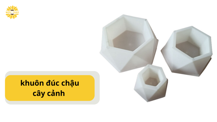 khuôn đúc chậu cây cảnh