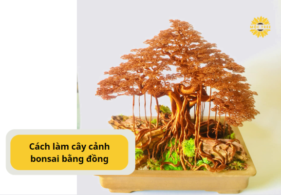 Cách làm cây cảnh bonsai bằng đồng