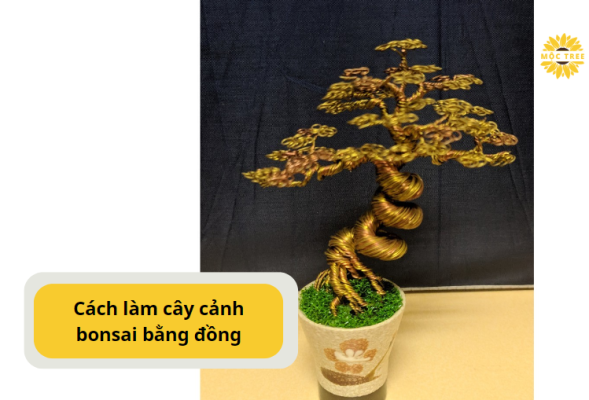 Cách làm cây cảnh bonsai bằng đồng