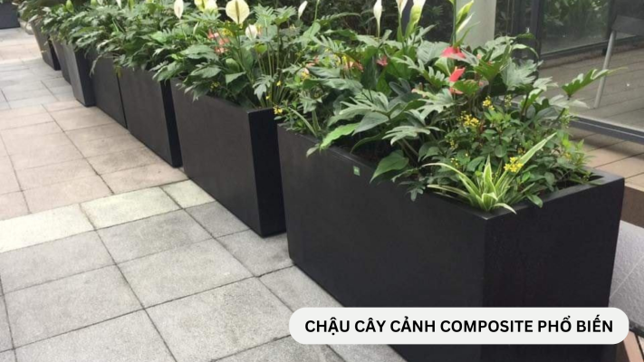 Chậu cây cảnh composite phổ biến