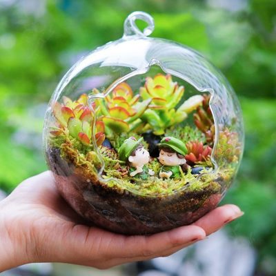 Terrarium Đà Nẵng