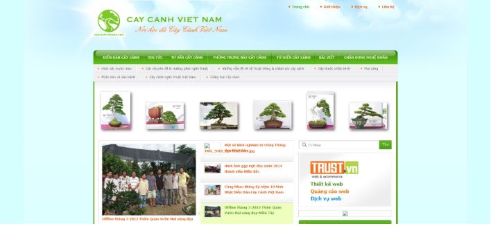 Caycanhvietnam.com