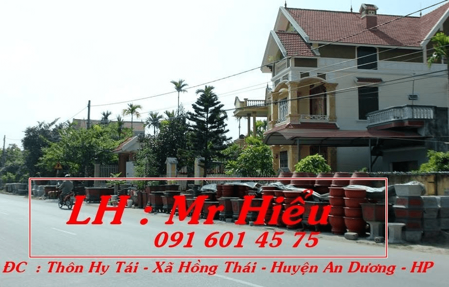 Sản Xuất Chậu Cảnh Cây Cảnh Hải Phòng