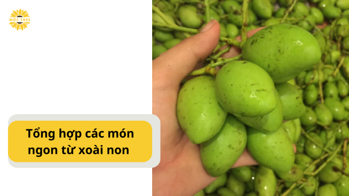 Tổng hợp các món ngon từ xoài non