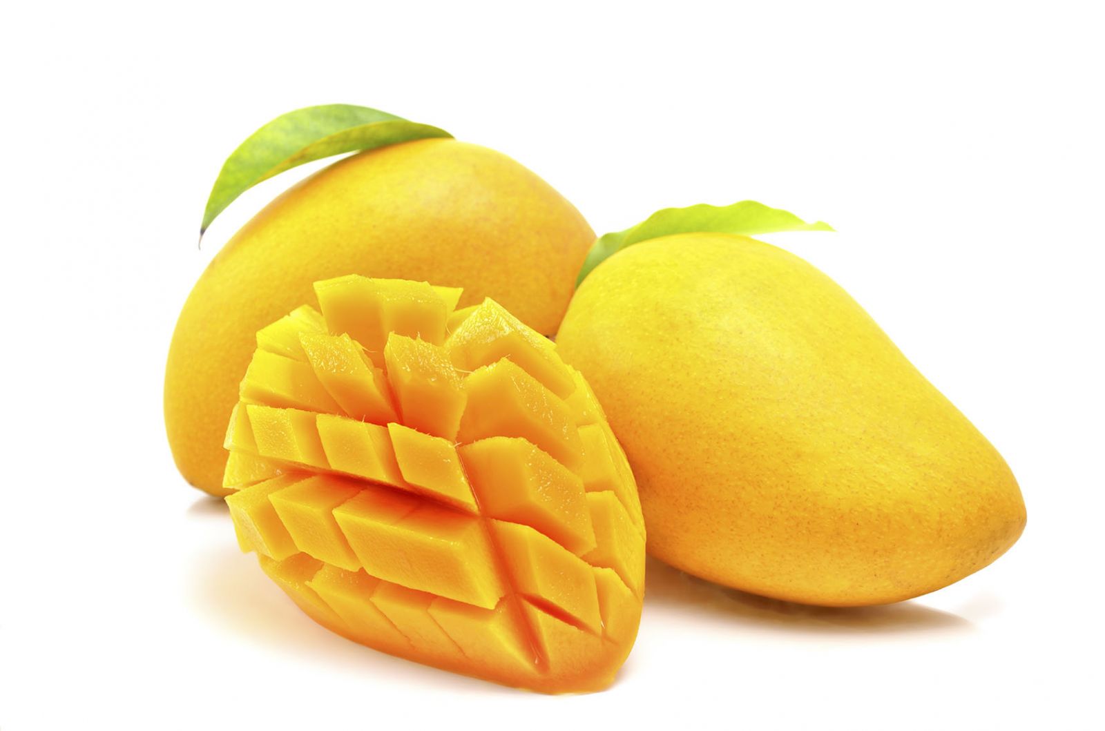 Fruits : Mango