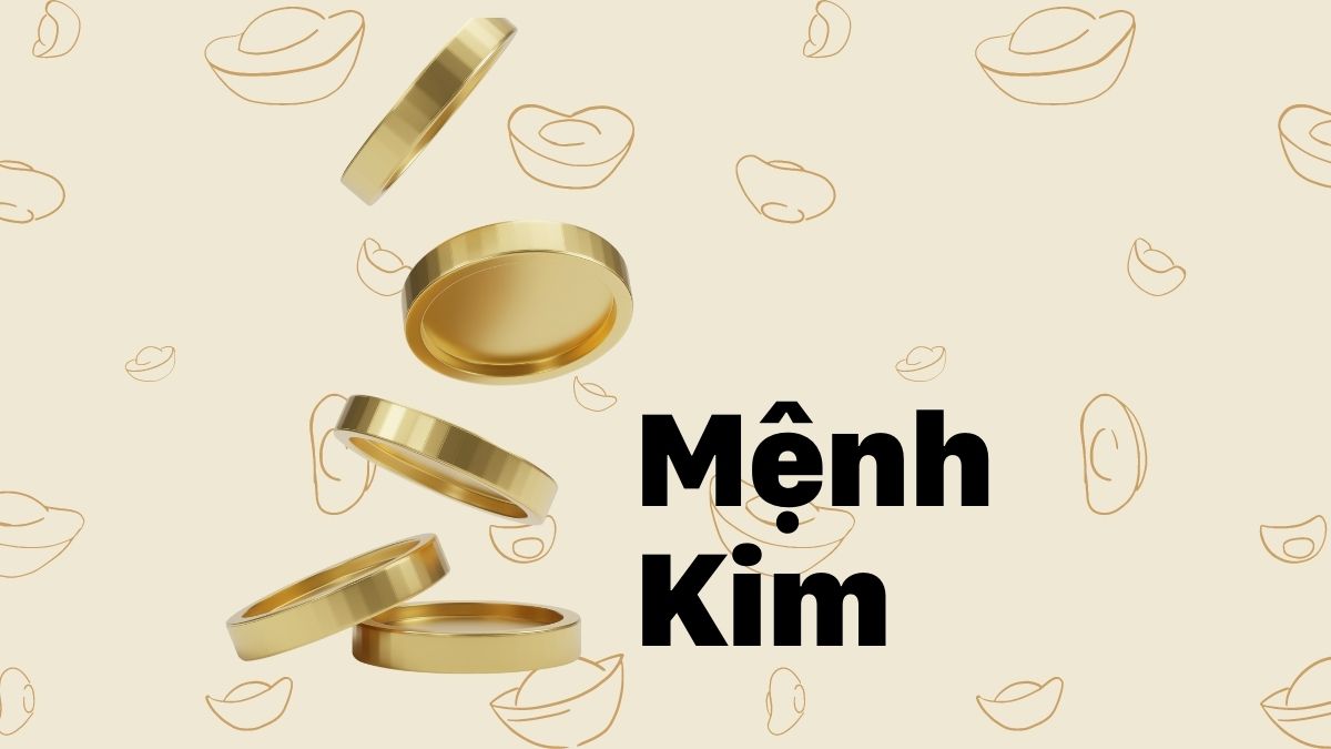 cây ngũ gia bì hợp mệnh kim không