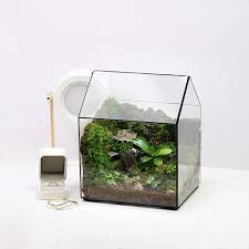 Ý nghĩa trang trí của terrarium