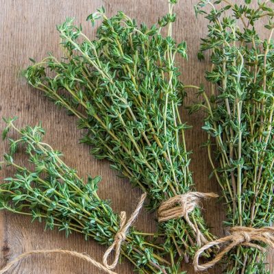 Đặc điểm và ý nghĩa của cây thyme