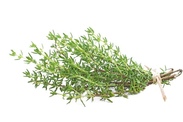 Đặc điểm, công dụng và ý nghĩa của cây thyme