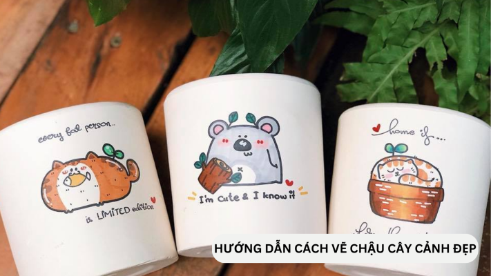 Cách vẽ, tạo dáng và trang trí cho chậu cảnh