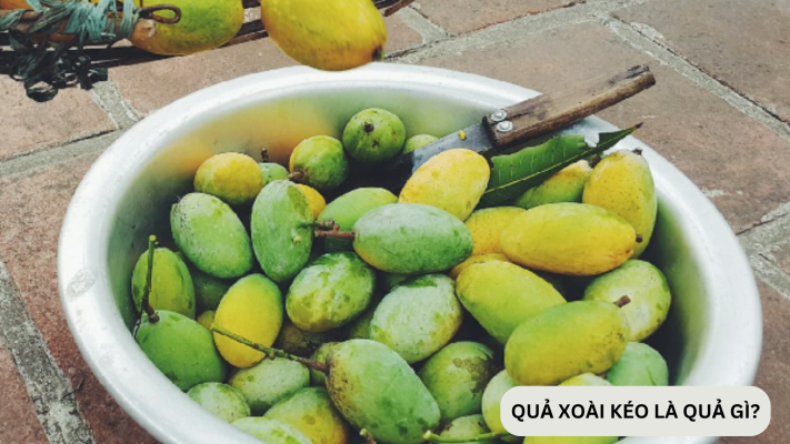 Quả xoài kéo (quả muỗm) có tác dụng gì?