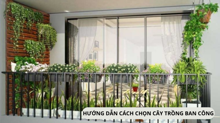 Hướng dẫn cách chọn cây trồng ban công