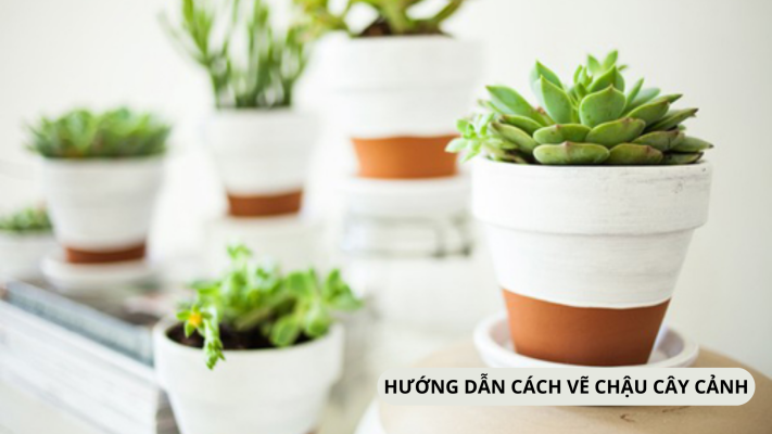 Hướng dẫn cách vẽ chậu cây cảnh dễ dàng mà đẹp