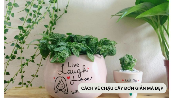 Cách vẽ chậu cây cảnh đơn giản mà đẹp