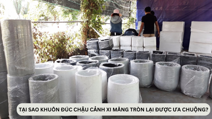 Tại sao khuôn chậu cảnh xi măng tròn lại được ưa chuộng?