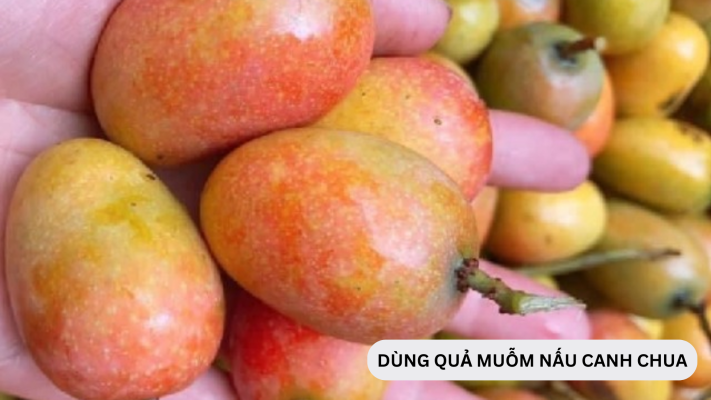 Dùng quả muỗm nấu canh chua