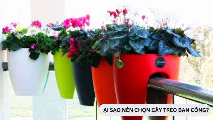 Tại sao nên trồng cây cảnh treo ban công?